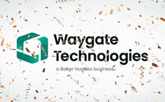 工業(yè)內(nèi)窺鏡廠家Waygate Technologies介紹